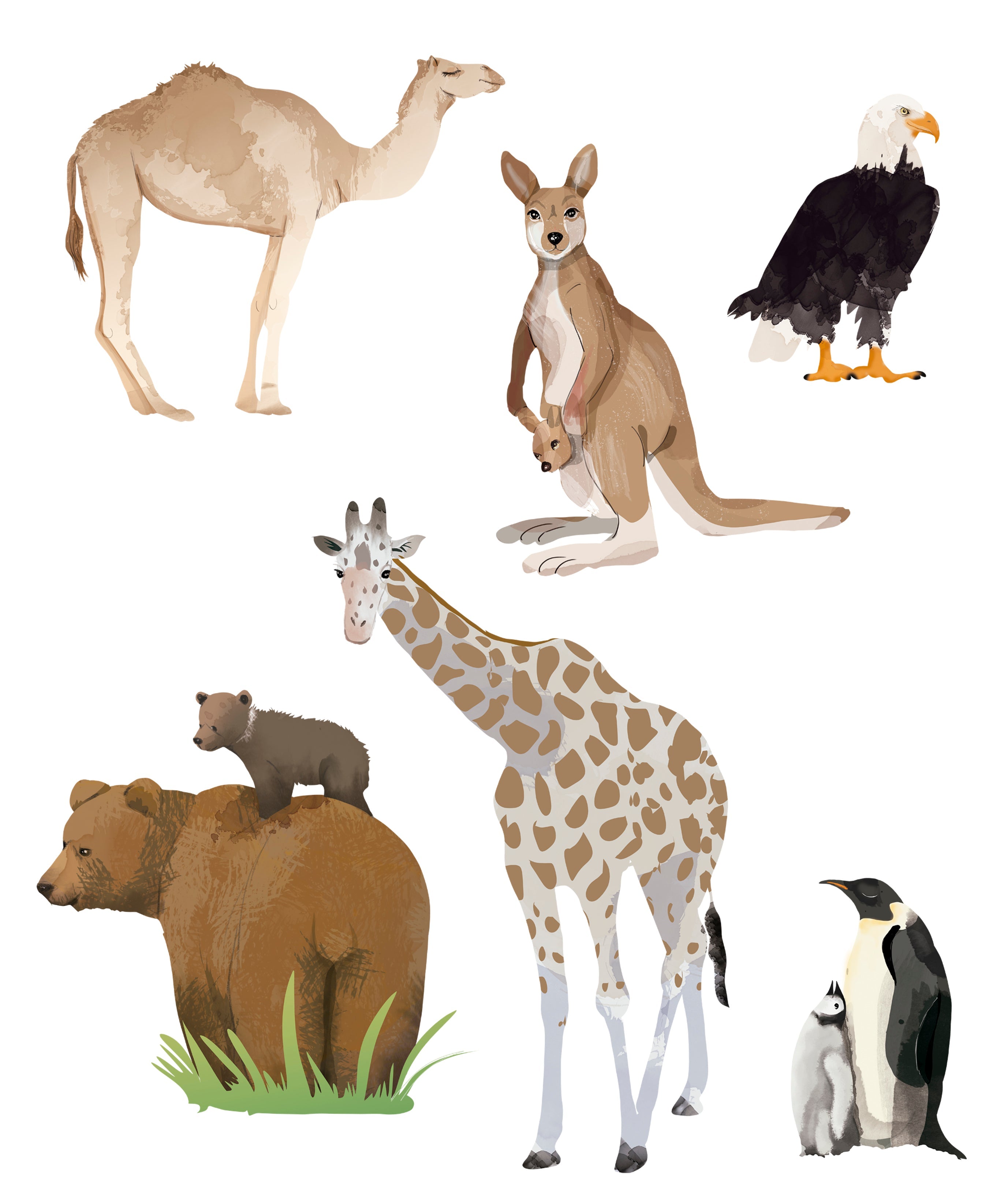 ANIMALES MAPA MUNDI Pack vinilo